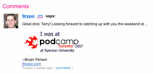 Flickr comment